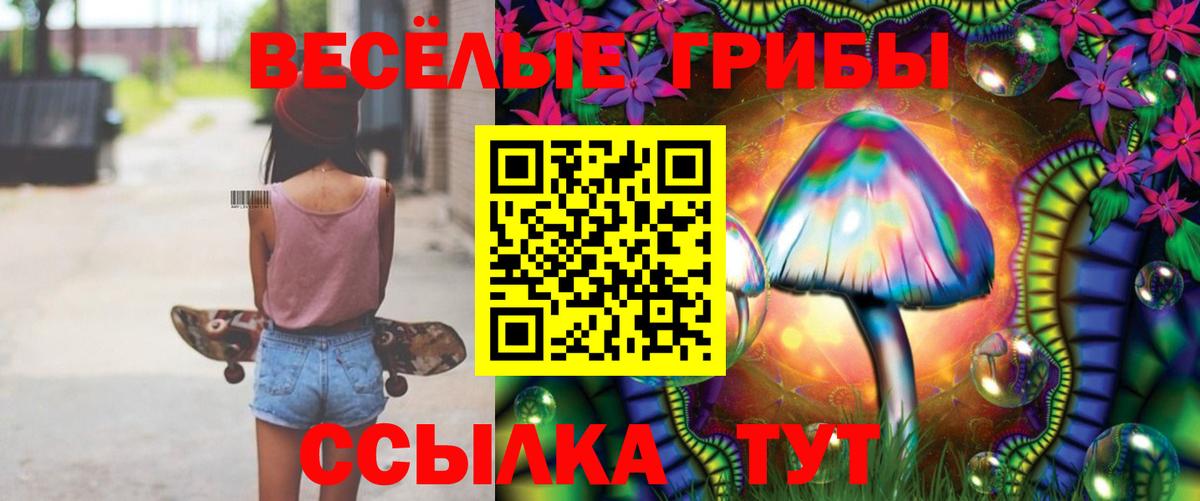Южно-Сахалинск  Галлюциногенные грибы мухоморы  Галлюциногенные грибы MAGIC MUSHROOMS  Вход с VPN 